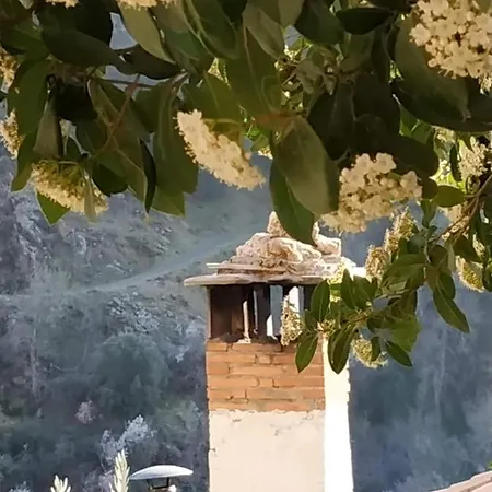 Cortijo La Solana Casa rural *