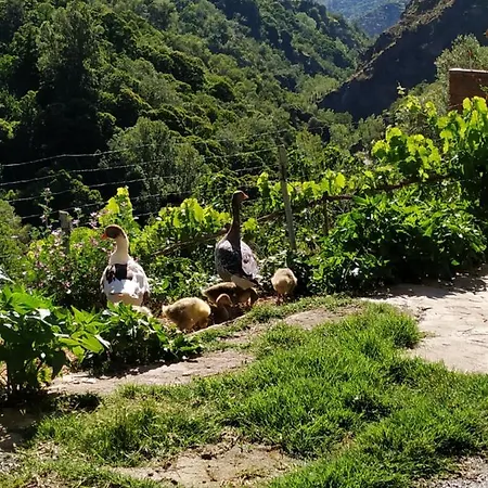 Cortijo La Solana Casa rural Güéjar Sierra