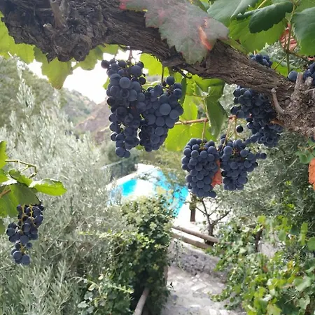 Casa rural Cortijo La Solana Güéjar Sierra