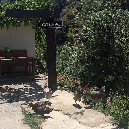Cortijo La Solana Casa rural Güéjar Sierra